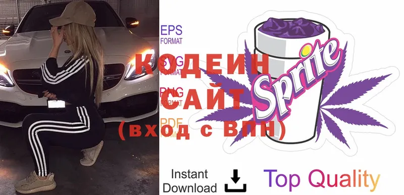 Codein Purple Drank  mega ссылки  Вятские Поляны 